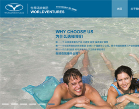 長沙做網站案例_世界環旅集團